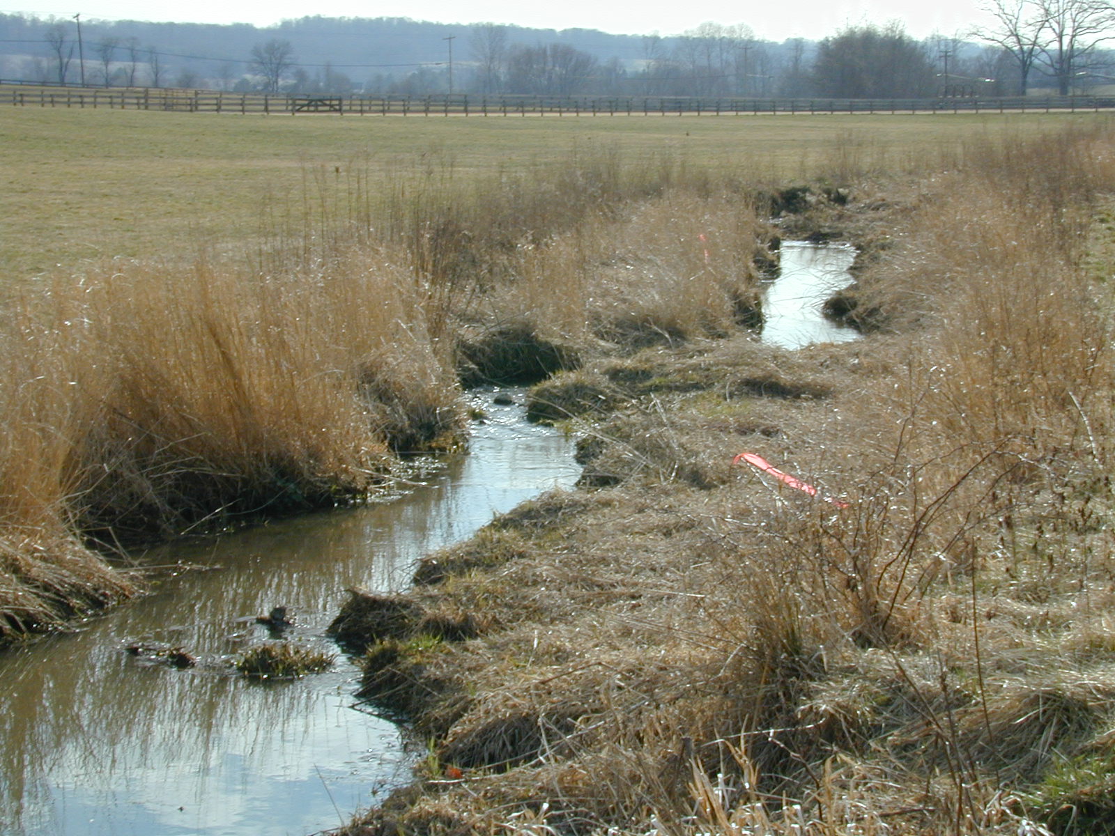 Field photo showing stream conditions at site LOGU-211-R-2002-372