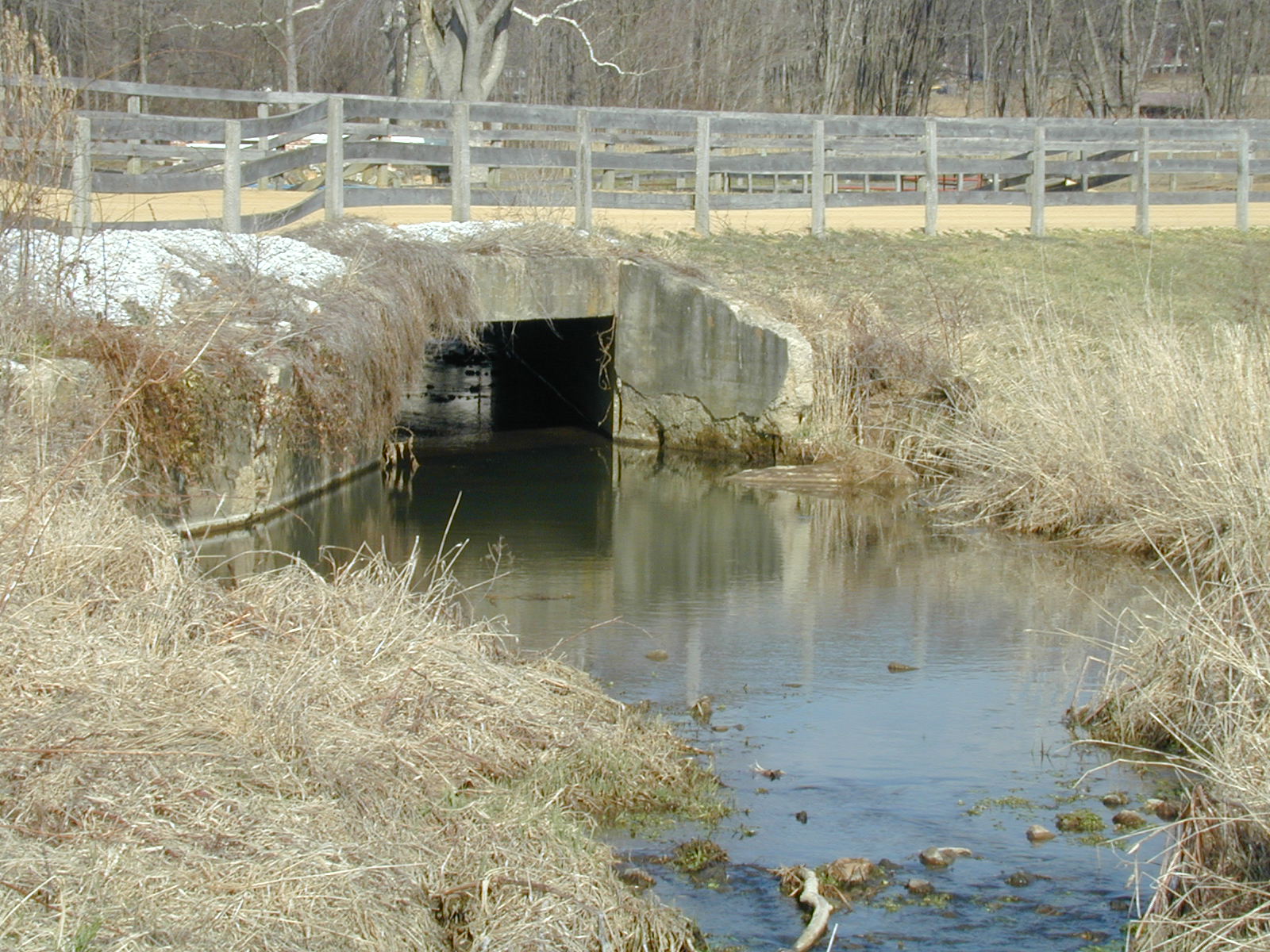 Field photo showing stream conditions at site LOGU-211-R-2002-373