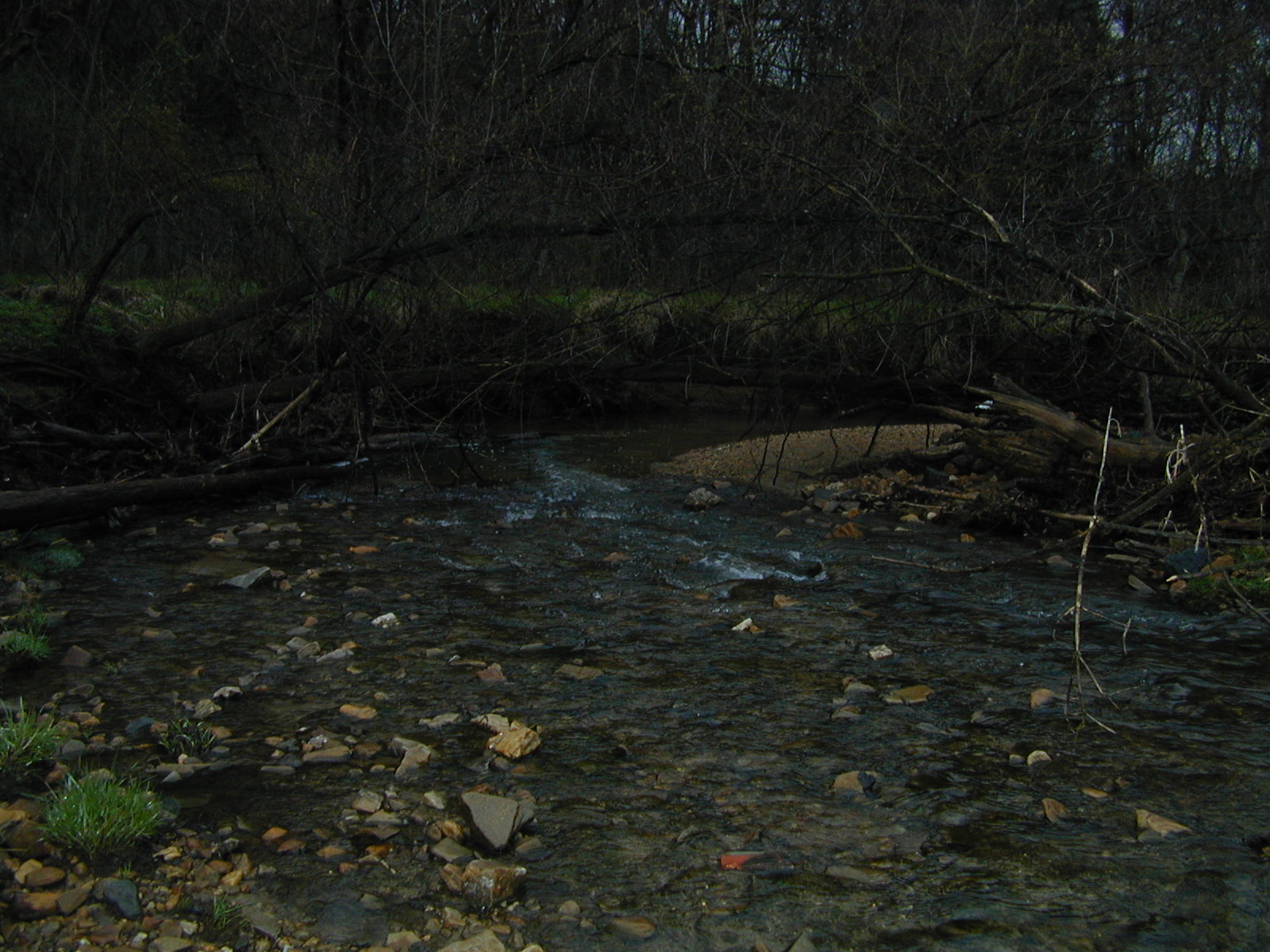 Field photo showing stream conditions at site LOGU-280-M-2003-773