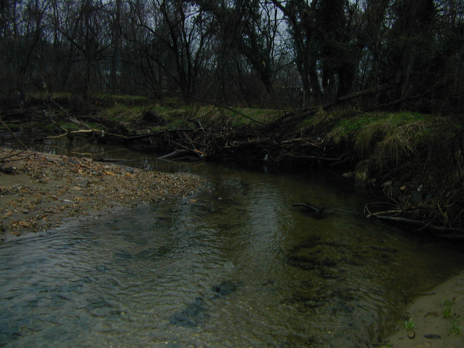 Field photo showing stream conditions at site LOGU-280-M-2003-774