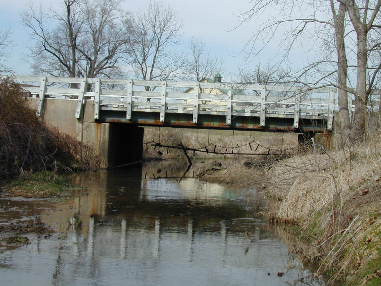 Field photo showing stream conditions at site LOGU-305-R-2002-369