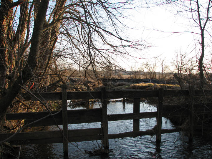 Field photo showing stream conditions at site LOGU-305-R-2007-1