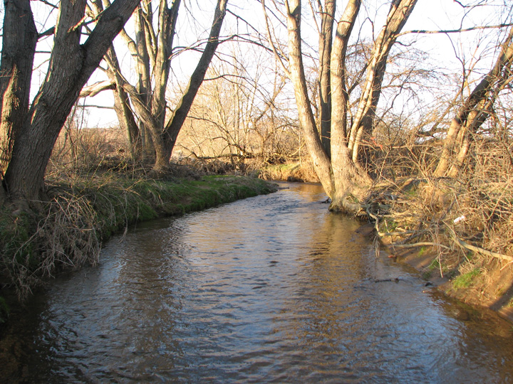 Field photo showing stream conditions at site LOGU-305-R-2007-2