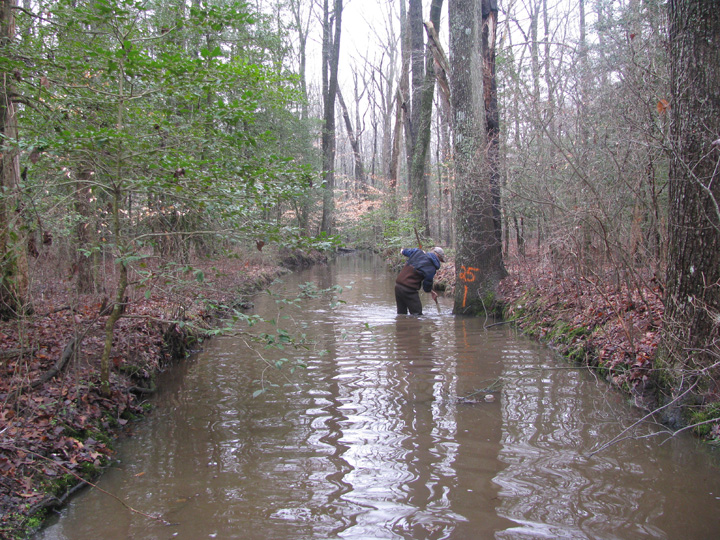Field photo showing stream conditions at site LOPC-102-R-2009-1