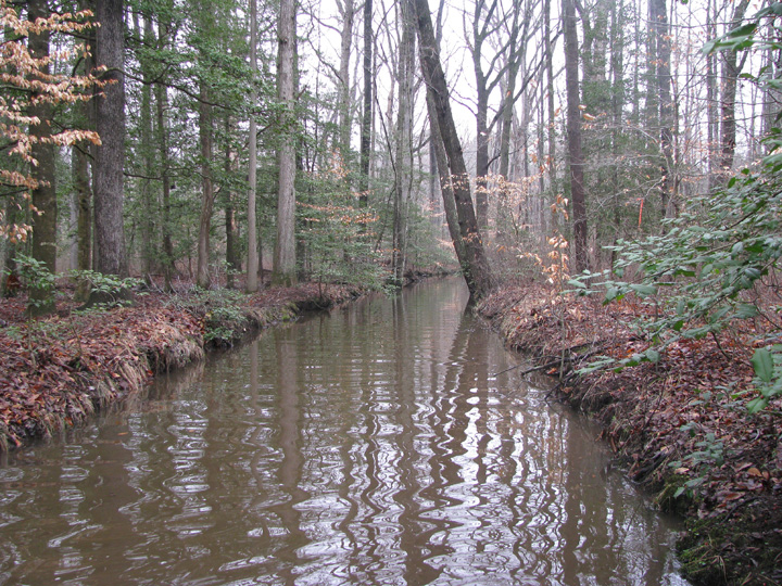 Field photo showing stream conditions at site LOPC-102-R-2009-2