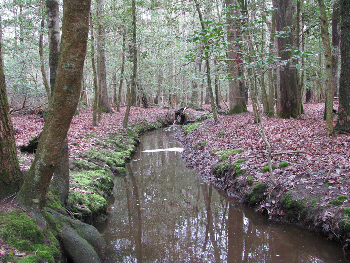 Field photo showing stream conditions at site LOPC-103-R-2009-1