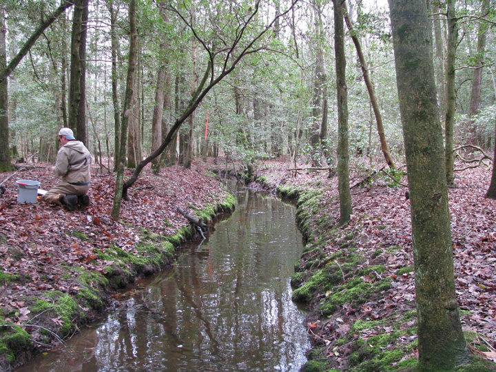Field photo showing stream conditions at site LOPC-103-R-2009-2