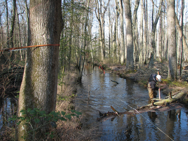 Field photo showing stream conditions at site LOPC-104-B-2008-1