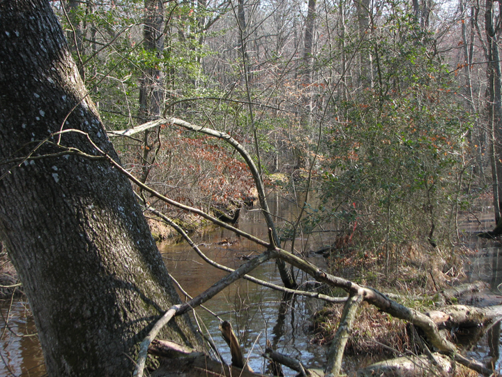 Field photo showing stream conditions at site LOPC-104-B-2008-2