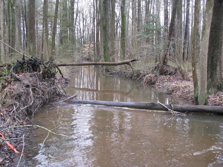 Field photo showing stream conditions at site LOPC-106-R-2009-1
