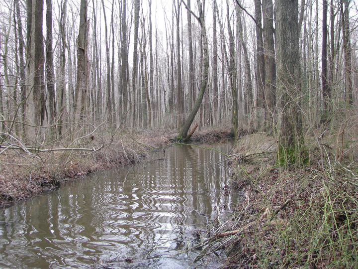 Field photo showing stream conditions at site LOPC-106-R-2009-2