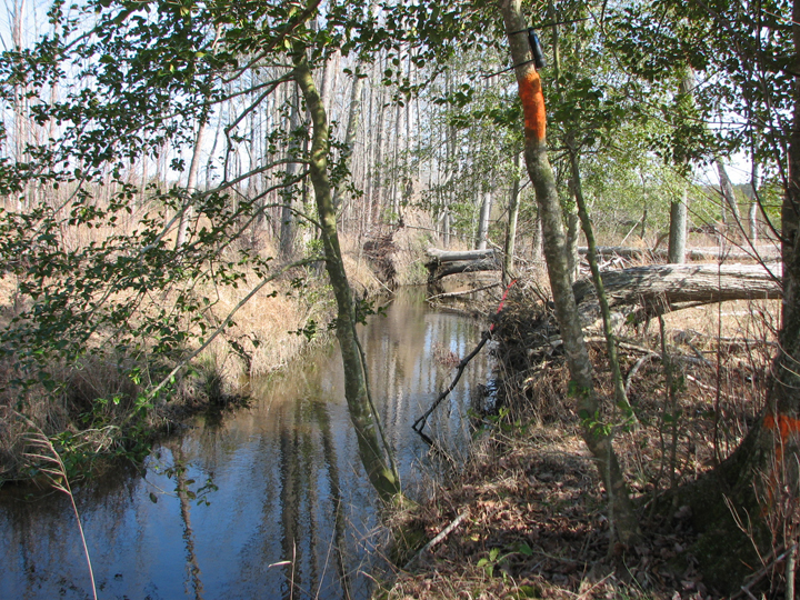 Field photo showing stream conditions at site LOPC-110-B-2008-2