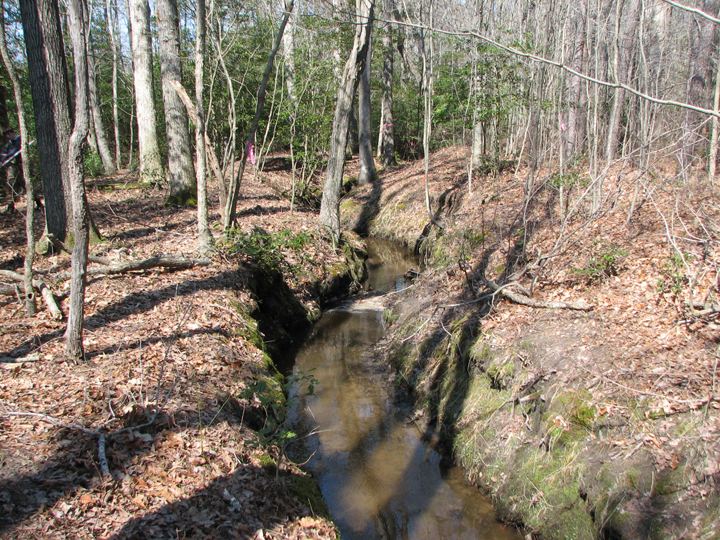Field photo showing stream conditions at site LOPC-112-B-2008-1