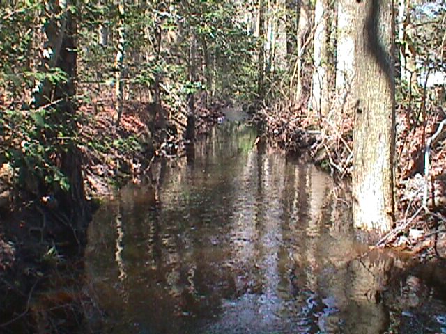 Field photo showing stream conditions at site LOWI-102-R-2000-11_13