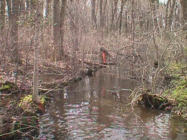 Field photo showing stream conditions at site LOWI-103-R-2000-10_15