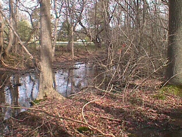 Field photo showing stream conditions at site LOWI-103-R-2000-10_16