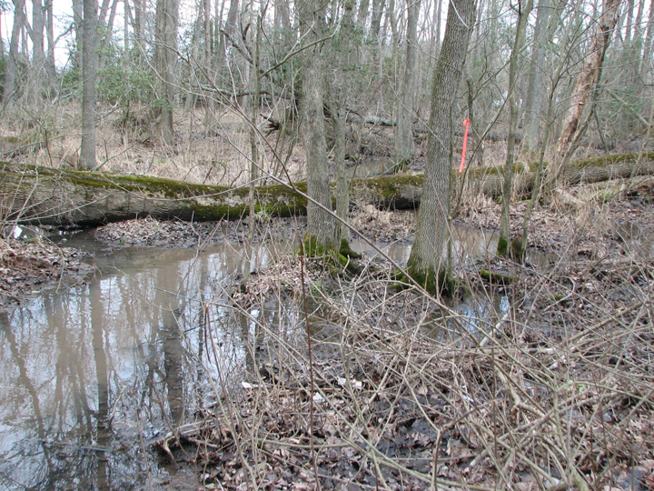 Field photo showing stream conditions at site LOWI-104-B-2008-1