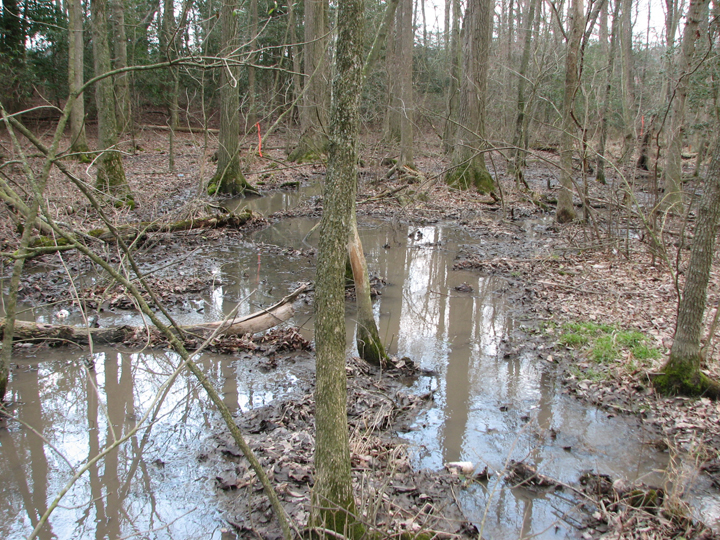 Field photo showing stream conditions at site LOWI-104-B-2008-2