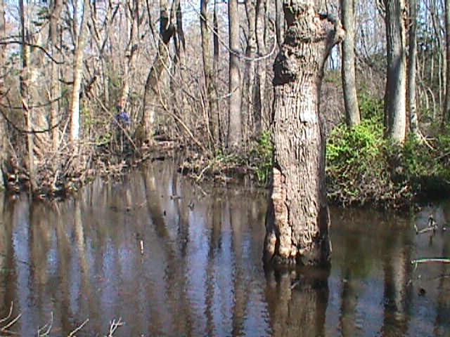 Field photo showing stream conditions at site LOWI-104-R-2000-11_10