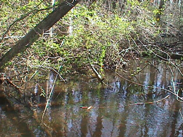 Field photo showing stream conditions at site LOWI-104-R-2000-11_11