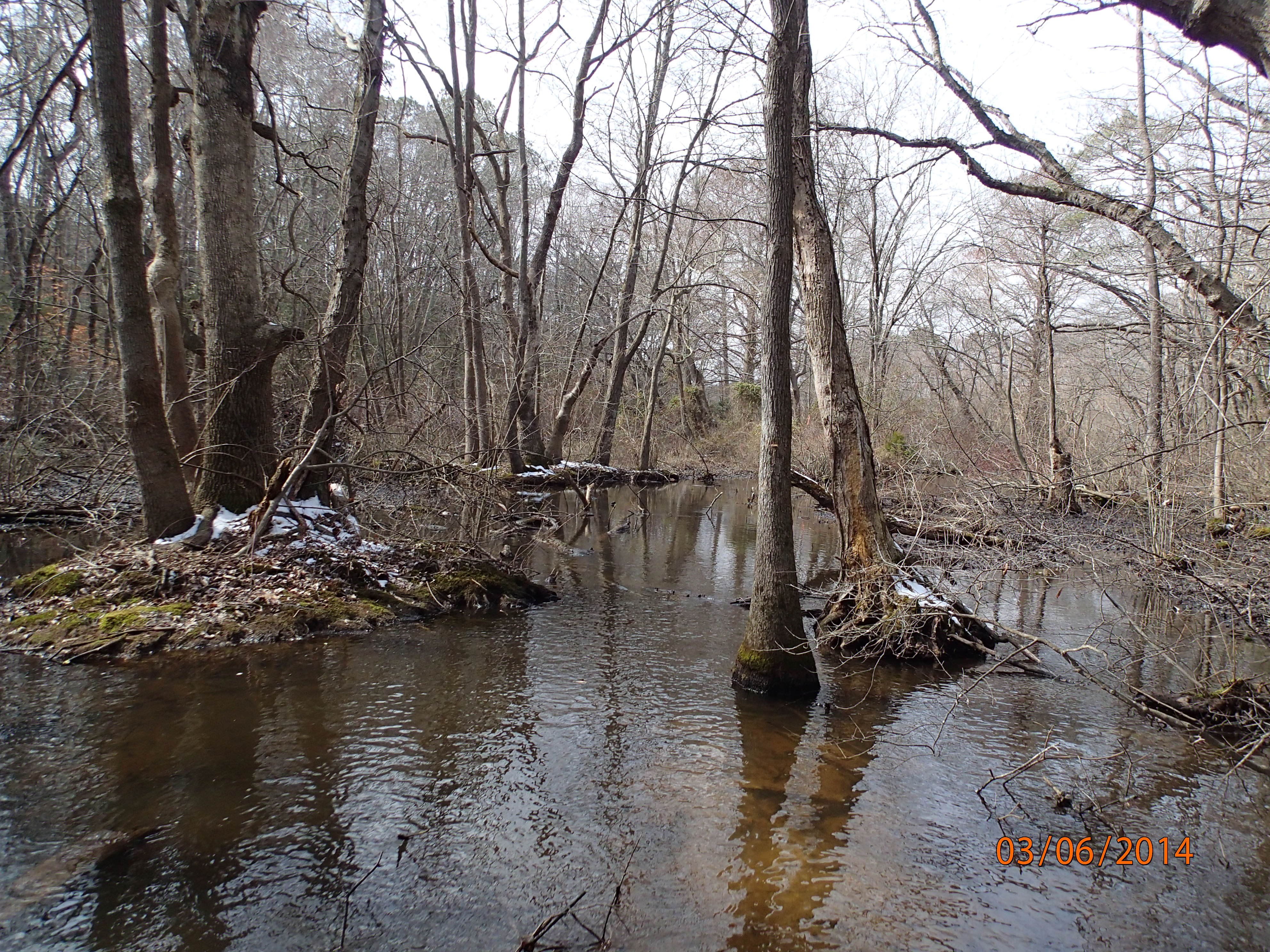 Field photo showing stream conditions at site LOWI-104-R-2014-MidpointDownstream
