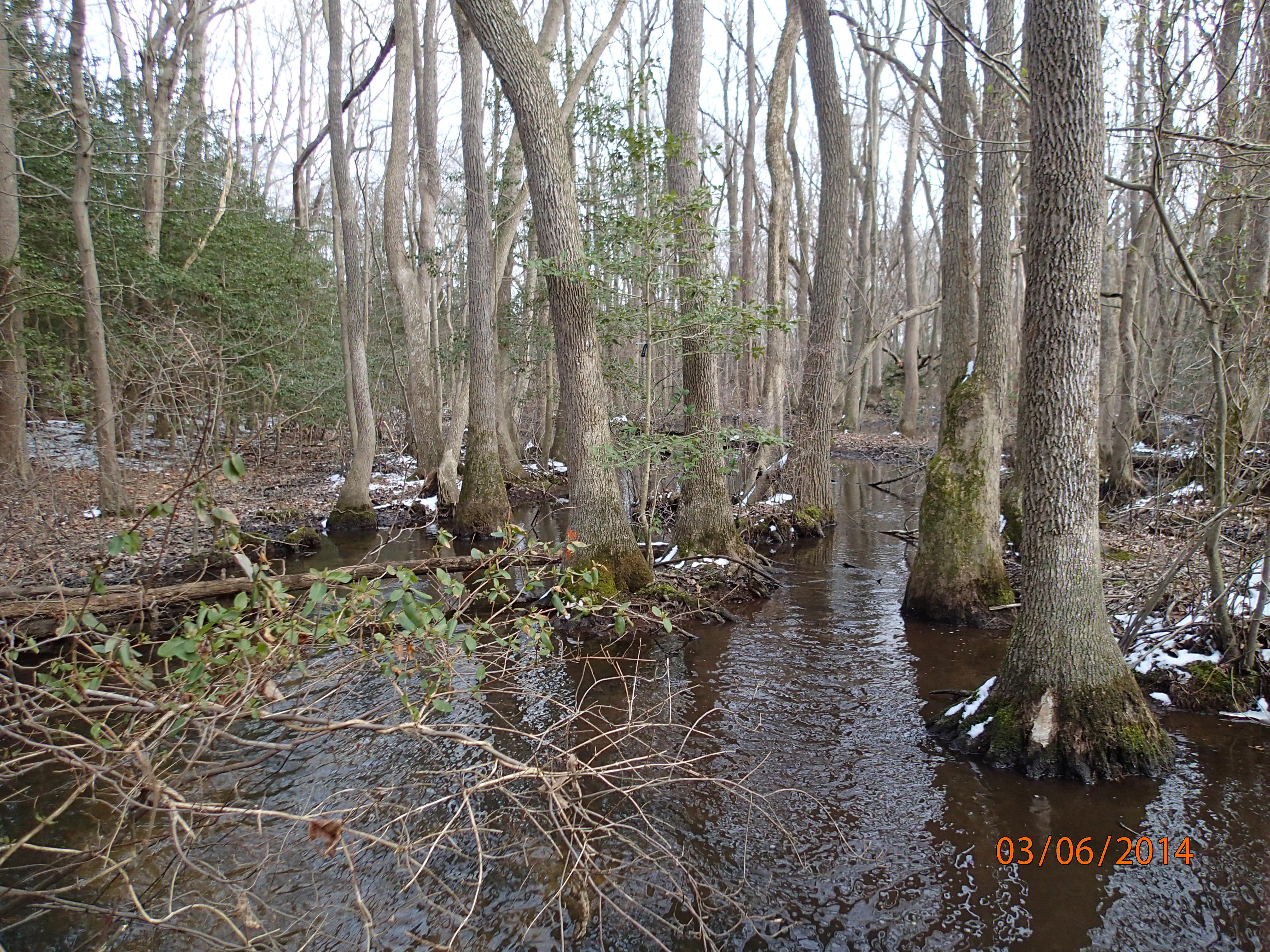 Field photo showing stream conditions at site LOWI-104-R-2014-MidpointUpstream