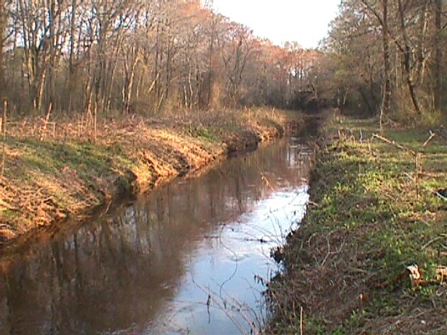 Field photo showing stream conditions at site LOWI-113-R-2000-12_10