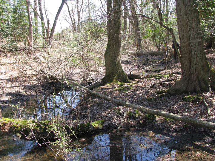 Field photo showing stream conditions at site LOWI-115-R-2009-2