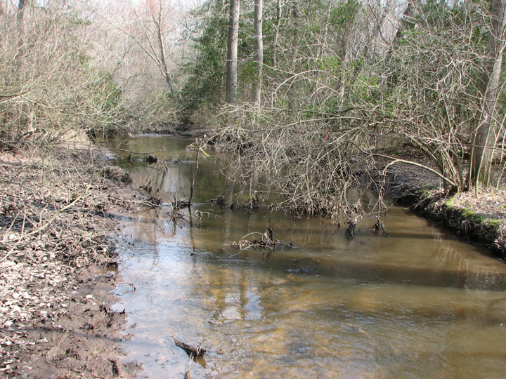 Field photo showing stream conditions at site LOWI-205-B-2008-1
