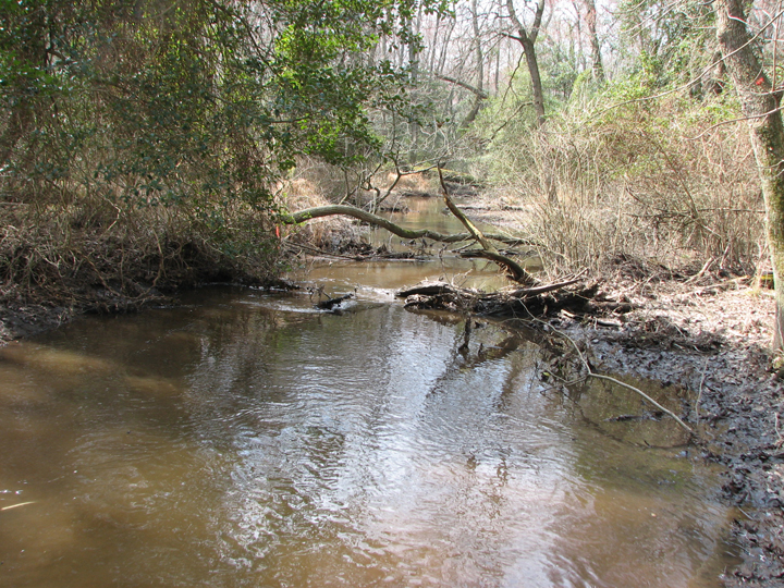 Field photo showing stream conditions at site LOWI-205-B-2008-2