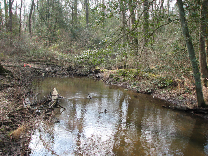 Field photo showing stream conditions at site LOWI-209-B-2008-1