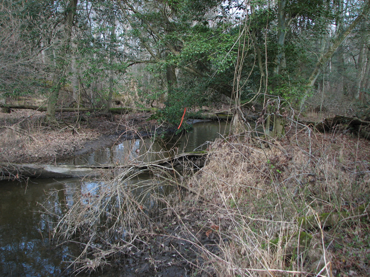 Field photo showing stream conditions at site LOWI-209-B-2008-2