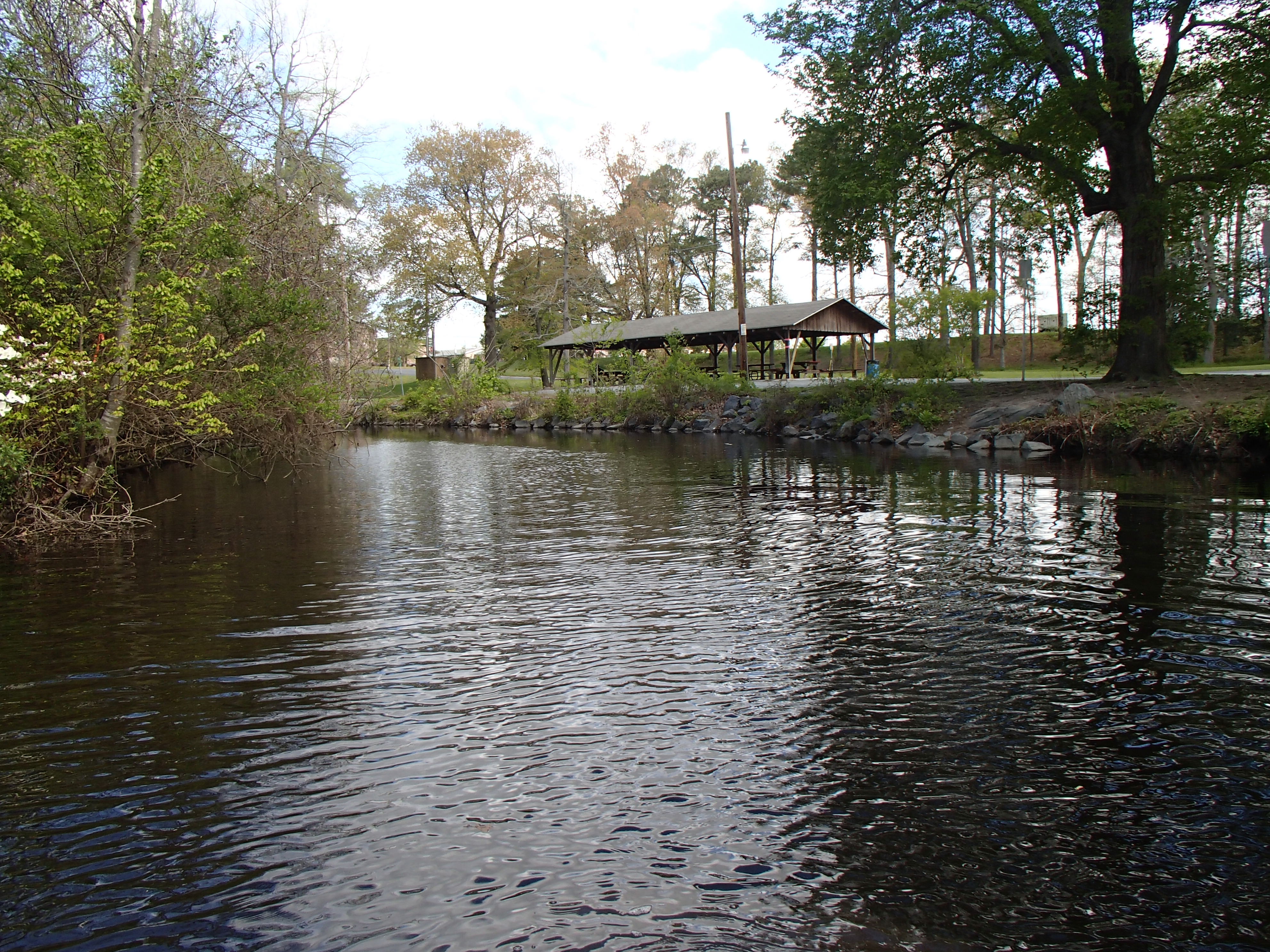 Field photo showing stream conditions at site LOWI-211-R-2015_Midpoint-downstream