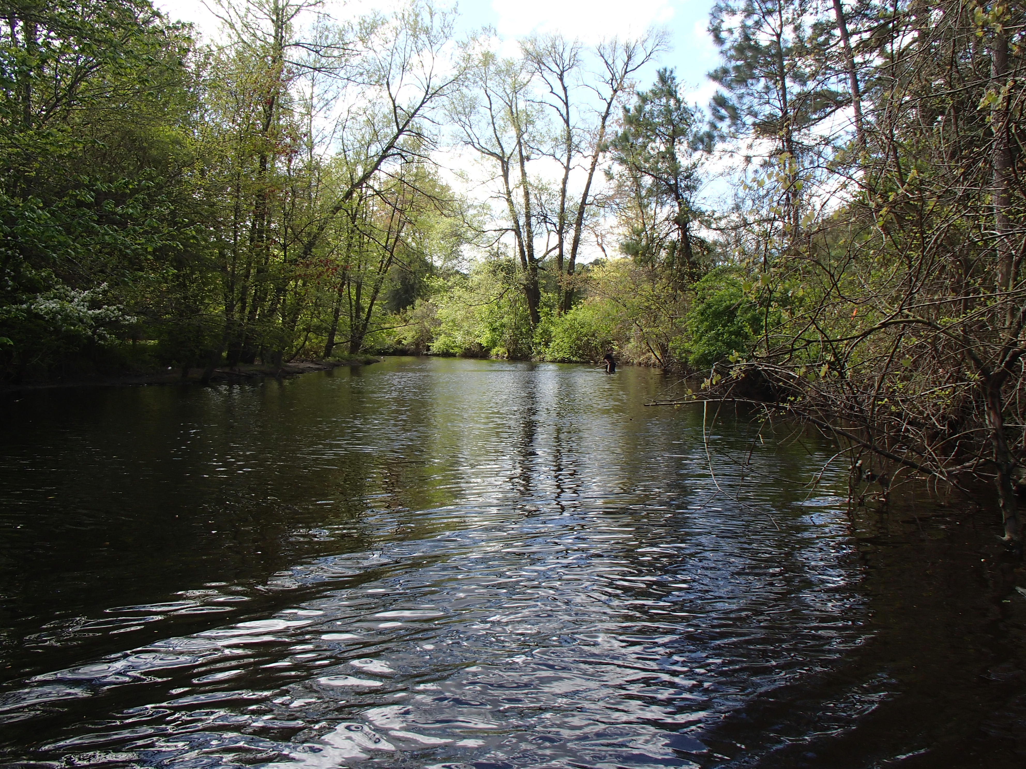 Field photo showing stream conditions at site LOWI-211-R-2015_Midpoint-upstream