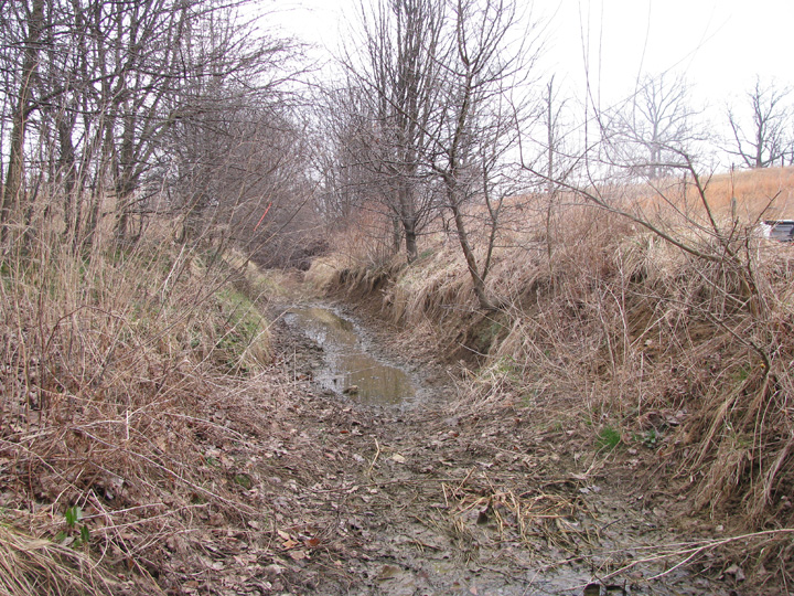 Field photo showing stream conditions at site LPAX-101-R-2009-2