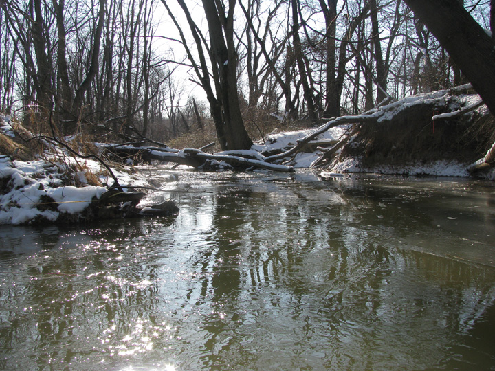Field photo showing stream conditions at site LPAX-103-R-2009-1