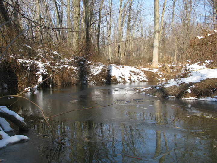 Field photo showing stream conditions at site LPAX-103-R-2009-2