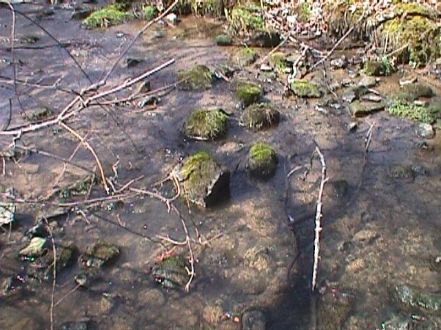 Field photo showing stream conditions at site LPAX-109-R-2000-06_16