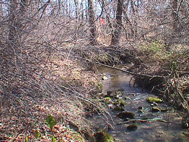 Field photo showing stream conditions at site LPAX-109-R-2000-07_01