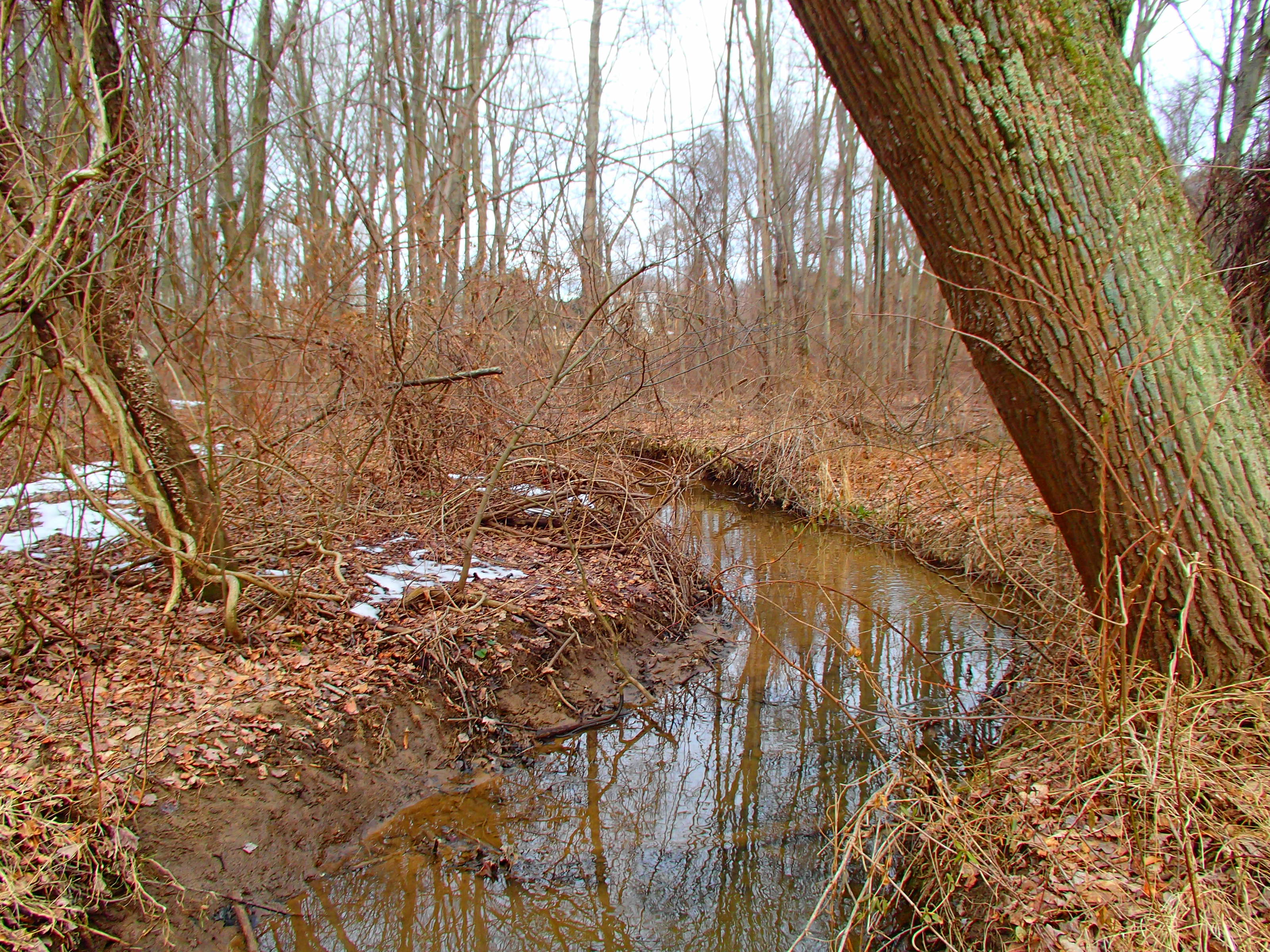 Field photo showing stream conditions at site LPAX-109-R-2014-1