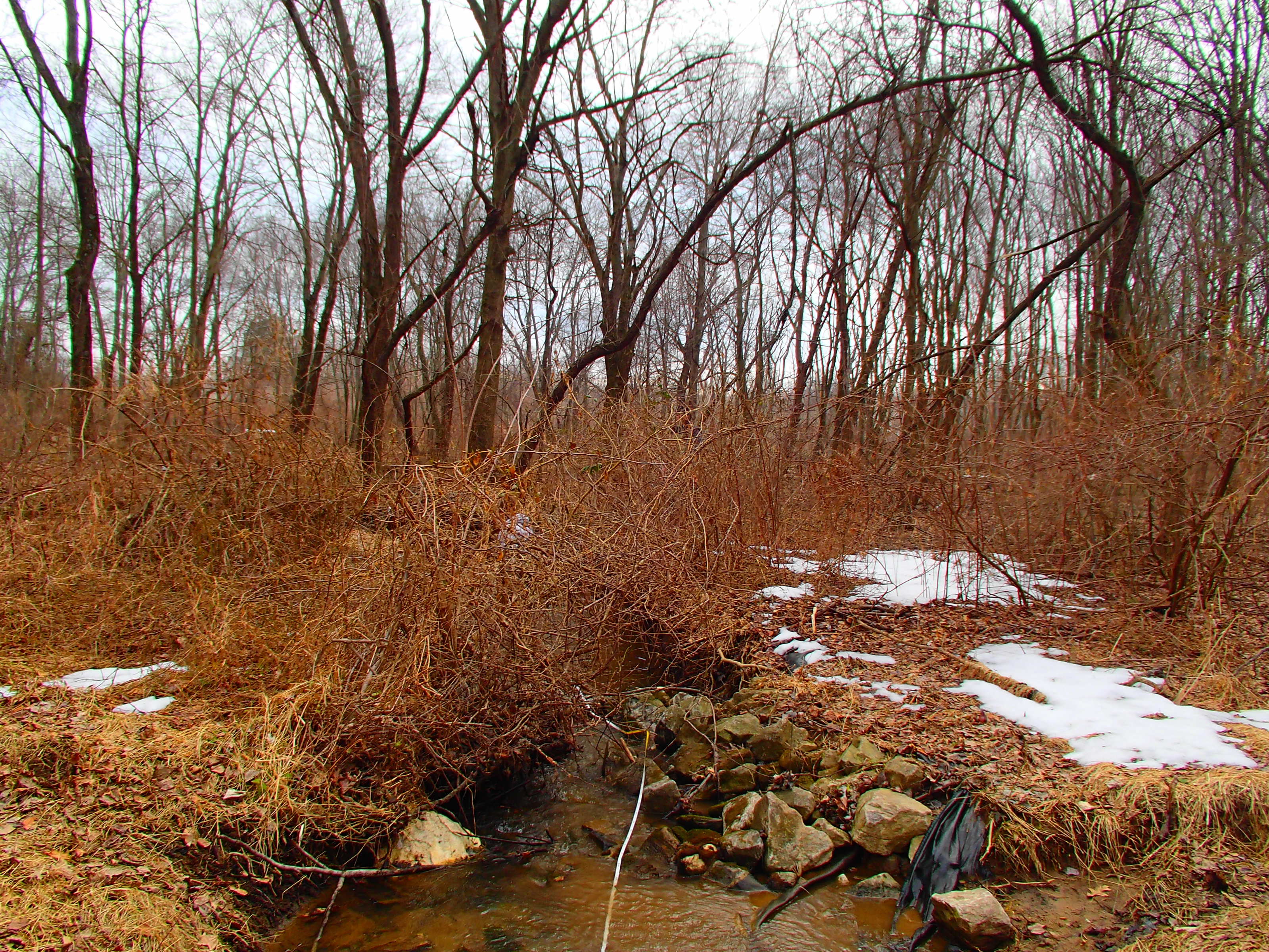 Field photo showing stream conditions at site LPAX-109-R-2014-2