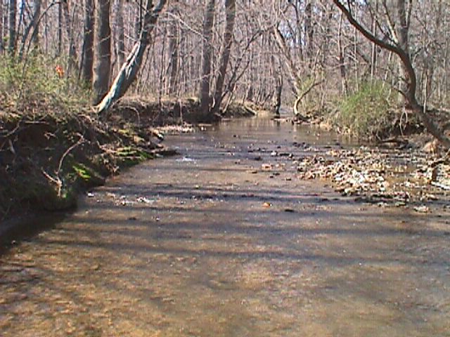 Field photo showing stream conditions at site LPAX-112-R-2000-07_13