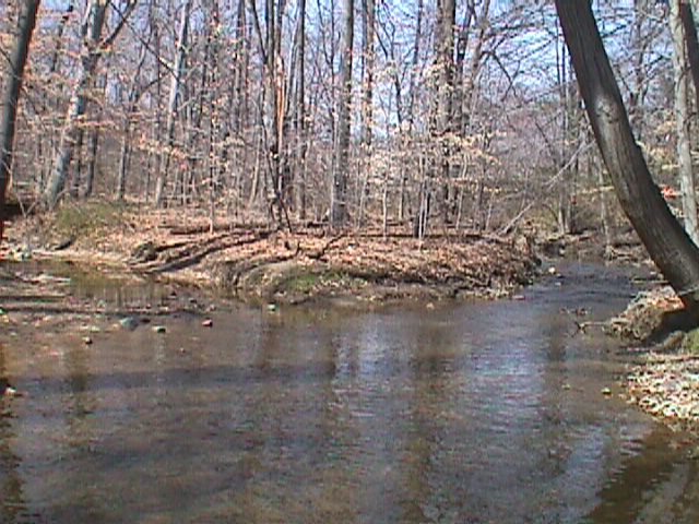 Field photo showing stream conditions at site LPAX-113-R-2000-07_08