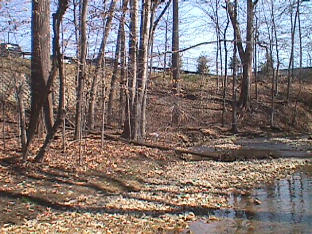 Field photo showing stream conditions at site LPAX-113-R-2000-07_09