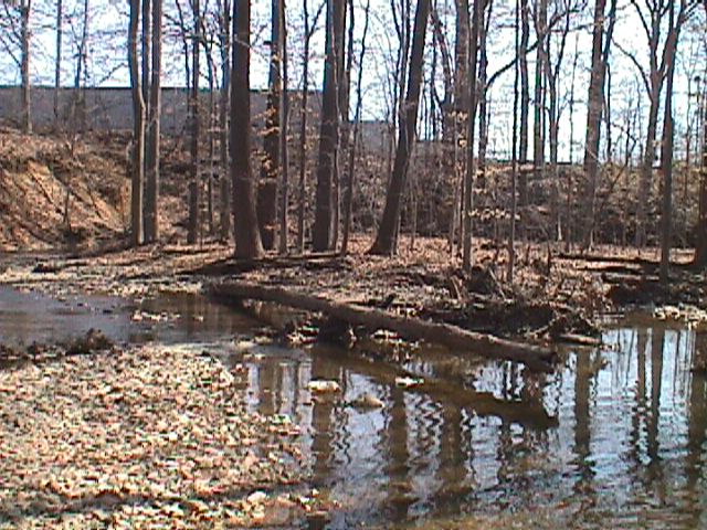 Field photo showing stream conditions at site LPAX-113-R-2000-07_10