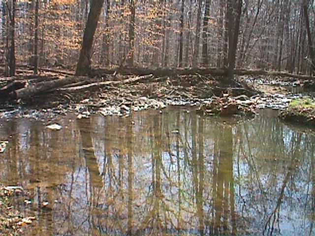 Field photo showing stream conditions at site LPAX-113-R-2000-07_11