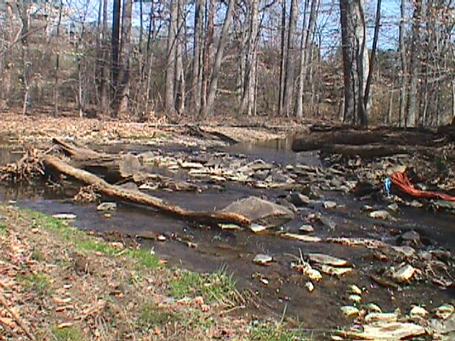 Field photo showing stream conditions at site LPAX-113-R-2000-07_12