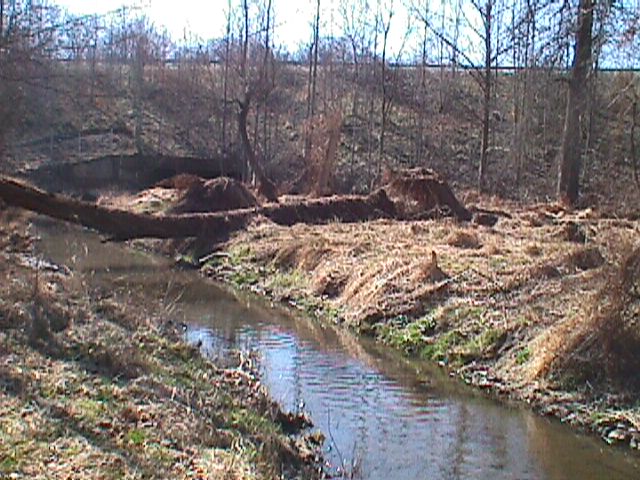 Field photo showing stream conditions at site LPAX-115-R-2000-06_14