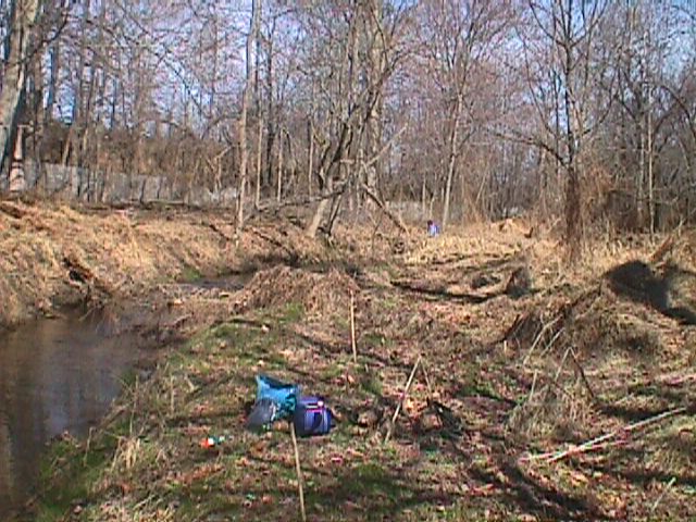 Field photo showing stream conditions at site LPAX-115-R-2000-06_15