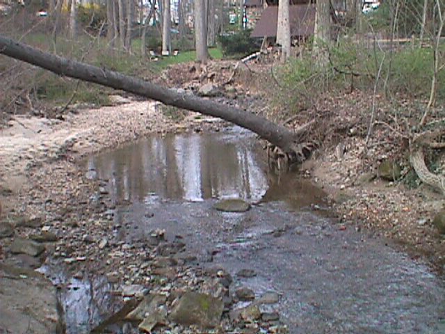 Field photo showing stream conditions at site LPAX-116-R-2000-10_02
